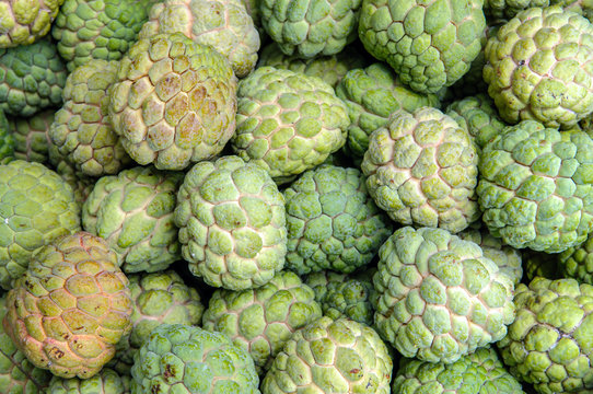 Custard apple - Stock Image
