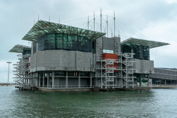 Obraz premium Oceanarium (Lisbon,Portugal)