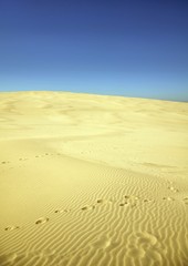 Fototapeta na wymiar Marsch durch die Wüste