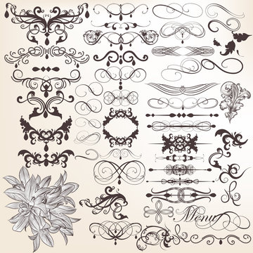 Collection of vector vintage decorative and calligraphic  elemen