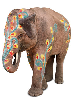 A painted elephant at the songkran festival in ayuthaya ,thailan
