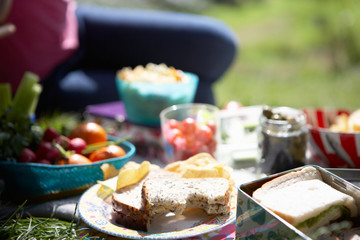 Picnic Food Laid Out On Blanket