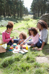 Family Having Picnic In Countryside