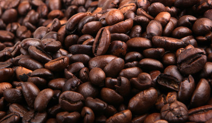 Coffee Beans