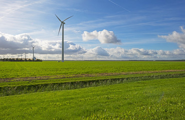 Fototapeta na wymiar Wind turbines in a field in sunlight