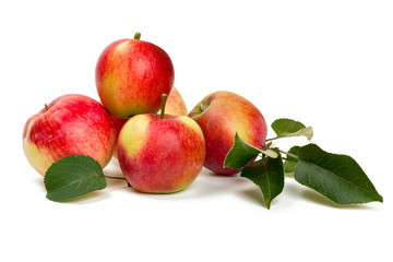 Fototapeta na wymiar apples with leafs