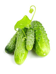 fresh cucumbers