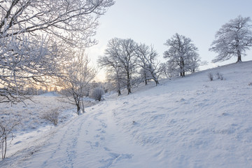 Footpath in winter landscape