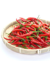 Hot red chili or chilli pepper