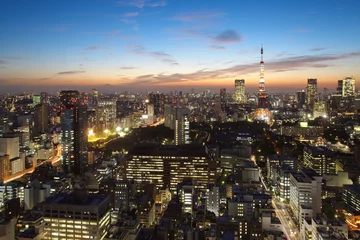 Schilderijen op glas Cityscape of Tokyo city at twilight © torsakarin