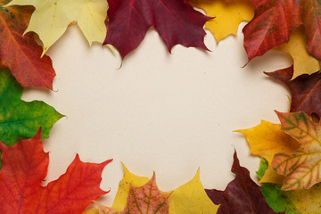 Naklejka na ściany i meble autumn maple leaves on paper surface