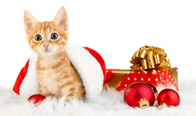 Cute little red kitten in Santa hat isolated on white