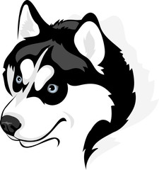 vector image of head of the Siberian Husky dog