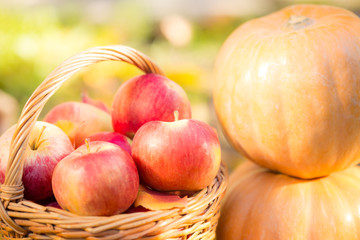 Fruits and vegetables in autumn