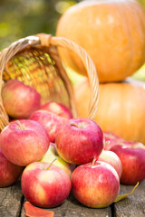 Fruits and vegetables in autumn
