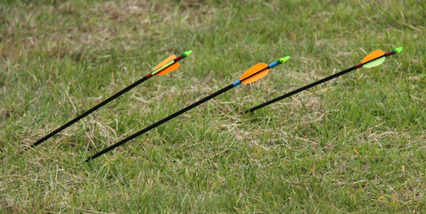 Three Archery Arrows Shot into the Grass.