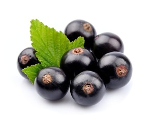 Black currant with leafs