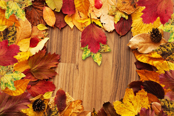 Naklejka na ściany i meble Herbstlaub auf Holz