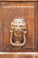 Decorative bronze lion head door knob