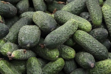 cucumbers