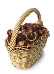 Basket of chestnut on white
