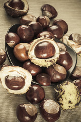Chestnuts brown colorized picture