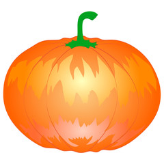 Pumpkin on white background. Vector