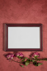 Vintage background with frame for photo and dry roses