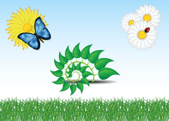 Ensemble vert : herbe, fleurs, coccinelle, papillon, plante en spirale