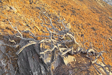 Desert at Crete