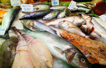  fish on spanish market counter