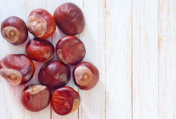 Obraz premium chesnuts