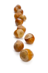 Nuts isolated on white background. nuts in row