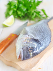dorado fish