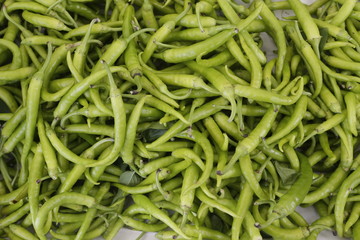 guindillas ecologicas