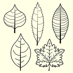 leaves vector