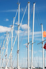 Obraz premium Boat masts