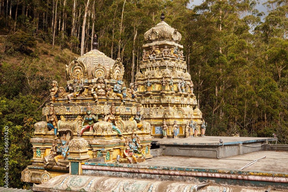 Wall mural External decoration of hindu temple in Sri Lanka