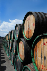 wine Barrels3