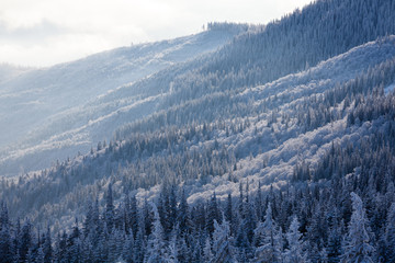 Scenic winter landscape in Carpathian mountains