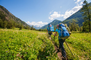 Fototapeta premium Hiker in Altai mountains, Russian Federation