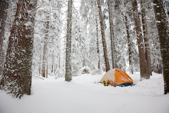 Fototapeta Camping during winter hiking in Carpathian mountains