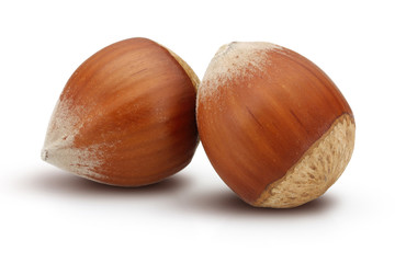 Two Hazelnuts