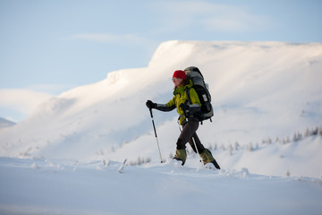 Naklejka na ściany i meble Hiker walking in winter Carpathian mountains