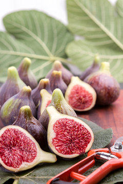 Natural figs