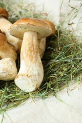 pile of fresh porcini mushrooms, cepe