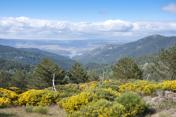 Views of Iruelas Valley Natural Park, Avila, Spain