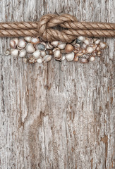 Ship rope, shells and wood background