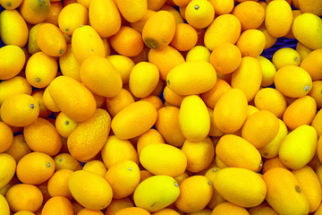 Fresh kumquats for sale at the market