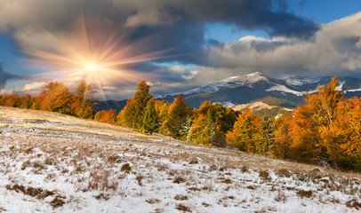 Colorful autumn landscape in the mountains. First November snow - obrazy, fototapety, plakaty